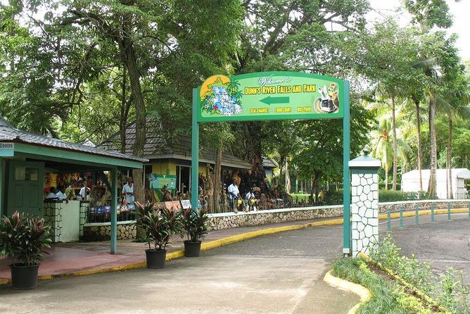 Montego Bay to Dunn's River Falls Half-Day Trip - The guided climb: rock terraces, pacing, and safety
