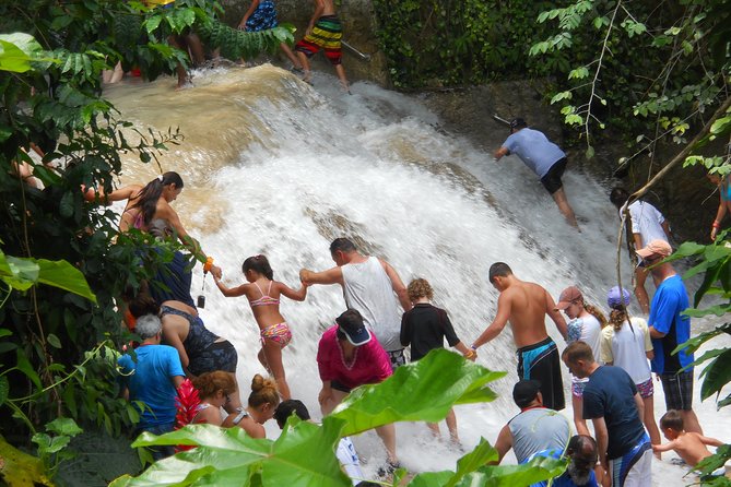Montego Bay tour: Dunn's River Falls - Port pickup to Dunn’s River: the start that sets the tone