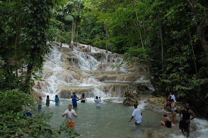 Montego Bay tour: Dunn's River Falls - Price and value for a 6-hour private Jamaica classic