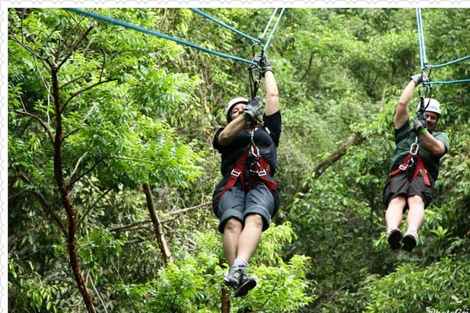 Mystic Mountain Tour from Montego Bay - Timing with a driver who waits, not drops and runs