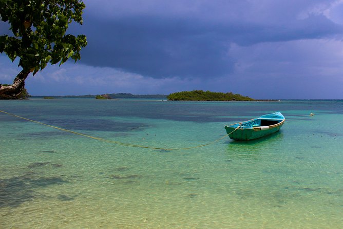 Negril 4 in 1 Day Trip from Montego Bay - Why this Negril day trip works from Montego Bay