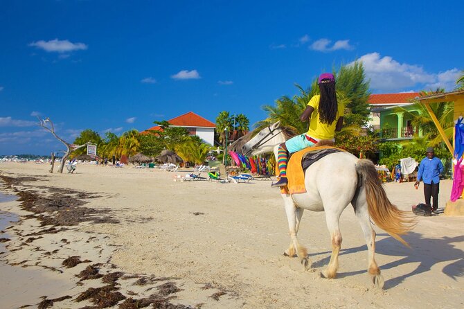 Negril 7 Mile Beach and Rick's Cafe Tour From Montego Bay Jamaica - Best for who, and who might want a different plan