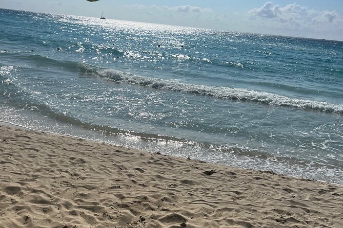 Negril 7 Mile Beach and Ricks Cafe Tour - Who this tour is best for