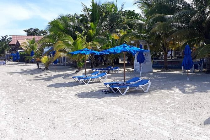 Negril 7 Miles Beach and Rick's Cafe Tour - Key highlights you will actually feel
