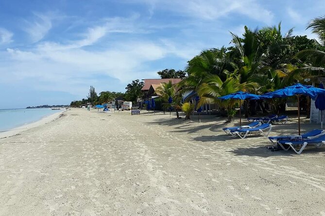 Negril 7 Miles Beach and Rick's Cafe Tour - Who Should Book This Tour, and Who Might Prefer Something Else