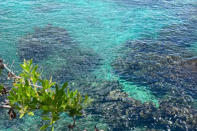 Negril day! beach and west end Cliffs with French Guide - Photos and video, plus the Marie and Jerome combo