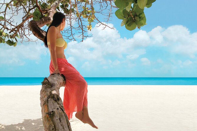 Negril Day Trip to Seven Mile Beach & Rick's Cafe w/Admission from Montego Bay - Guide and Driver Quality: The Human Part of the Day