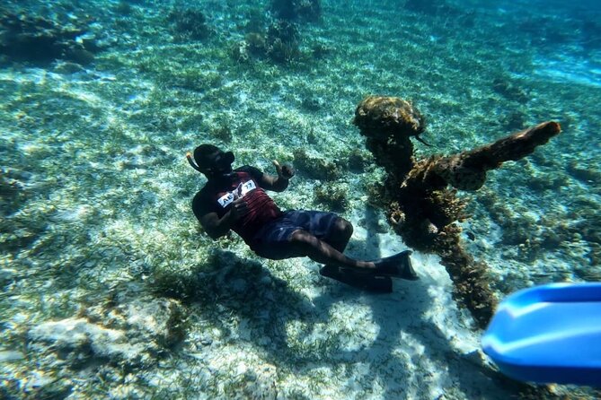 Negril Glass Bottom Boat Tour Snorkeling and Booby Cay - Key highlights you will feel right away