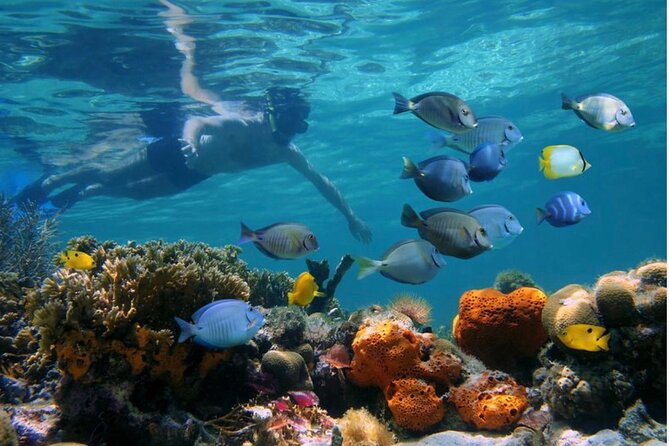 Negril Glass Bottom Boat Tour Snorkeling and Booby Cay - Entering the Lucky Duck experience on the water