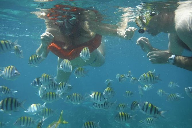 Negril Lobster Lunch on Booby Cay & Snorkeling To a Sunken Cannon - Key highlights to look for