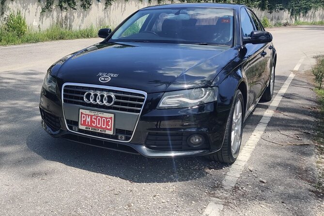 Negril Private Airport Transfer - Who This Negril Private Airport Transfer Fits Best