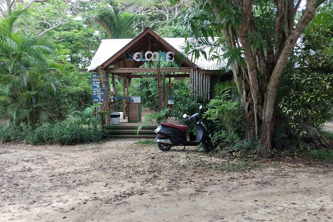 Negril Private and Public Beach with Ricks Cafe from Montego Bay - Rick’s Cafe cliff views and a sunset cocktail you choose