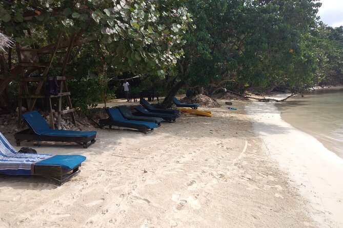 Negril Private and Public Beach with Ricks Cafe from Montego Bay - Who this Negril beach and Rick’s Cafe tour suits best
