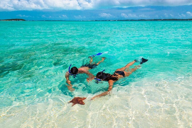 Negril Seven Miles Beach, Snorkeling, Boat Ride, Ricks Cafe Combo - Key points that make this Negril combo worth it