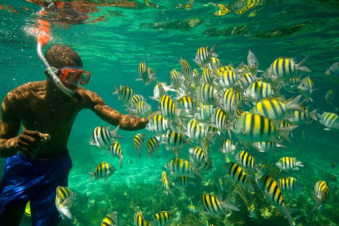 Negril Seven Miles Beach, Snorkeling, Boat Ride, Ricks Cafe Combo - Margaritaville stop: a fun pause, not the whole point