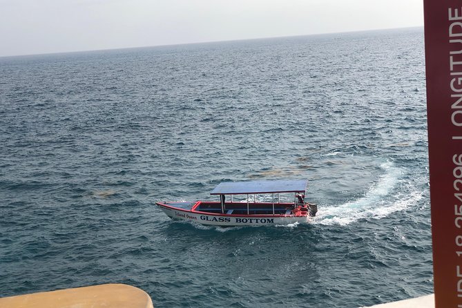 Negril Shopping And Rick's Café - The Timing and Pickup Details That Make or Break the Day