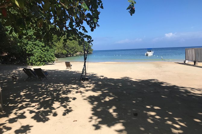 Ocho Rios City Bus Tour (Beach, Sightseeing & Shopping) - Timing and pacing: a tour that fits a day with plans