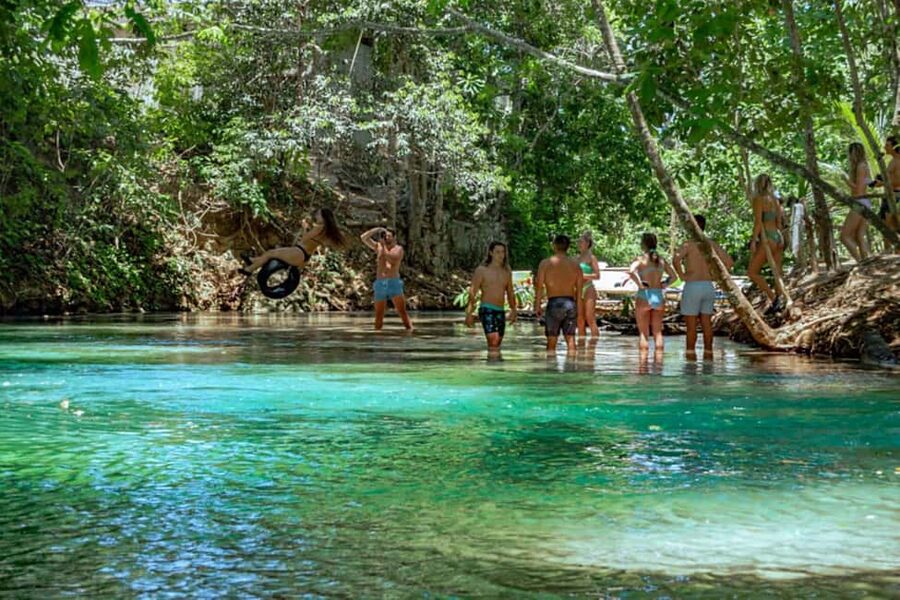 Ocho Rios: Dunn’s River Falls & Reggae Hill Tour - Dunn’s River Falls: the 600-foot climb, hands-first and guided