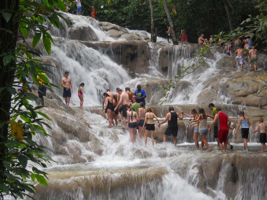 Ocho Rios: Dunn’s River Falls & Reggae Hill Tour - Guides, language, and the “who’s leading today” factor