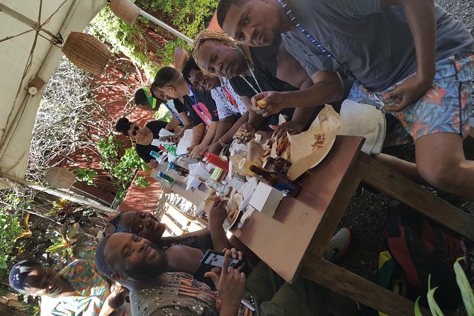 Ocho Rios For A Day / Private Customizable Tours / Jamaica Dream Vacation - Pickup, timing, and why cruise days fit this format