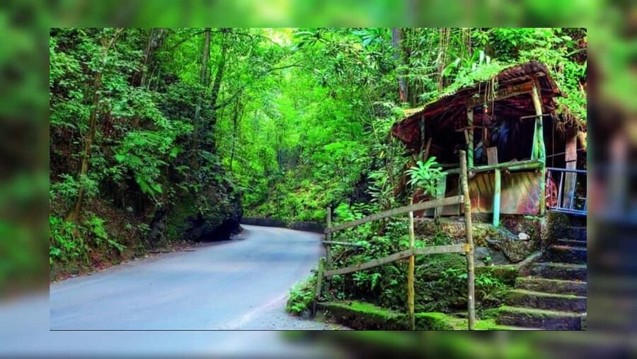 Ocho Rios: Guided Sightseeing Tour - Pickup and Drop-Off: Cruise Port Friendly, Resort Friendly