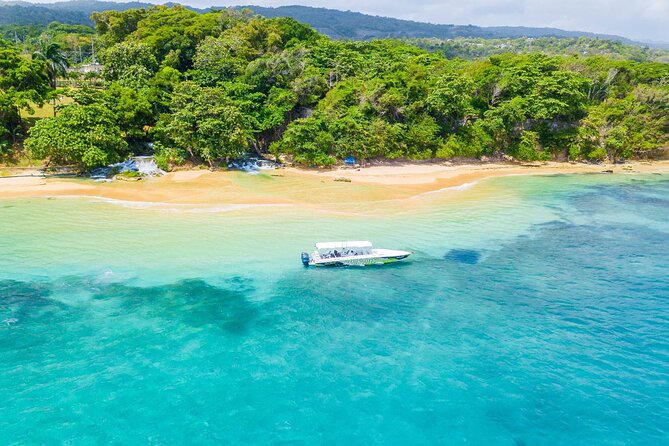 Ocho Rios Powerboat & Dunn’s River Falls Adventure - Dunn’s River Falls climb: a 600-ft natural workout with a big payoff
