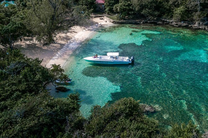Ocho Rios Powerboat & Dunn’s River Falls Adventure - Lunch breaks the day in the right way: classic Jamaican fare included