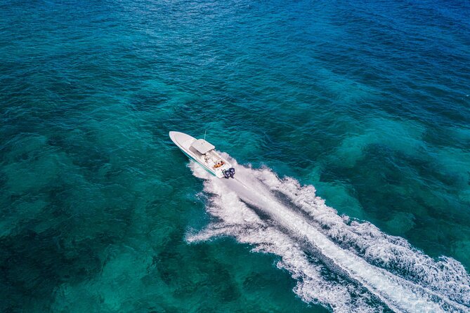 Ocho Rios Powerboat & Dunn’s River Falls Adventure - Transfers and small-group flow: why this feels manageable