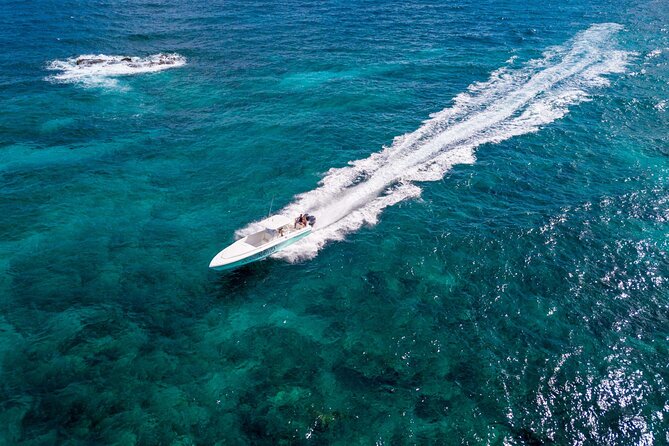 Ocho Rios Powerboat & Dunn’s River Falls Adventure - Who should book this Ocho Rios adventure