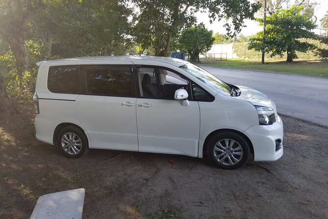 Ocho Rios Private Airport Transfer (MBJ Airport ) - What happens at the airport: meet-up and flight timing that reduces stress