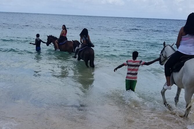 Ocho Rios Private Horse Riding, River Tubing and Rafting[Entry fee not included] - Price and Value: Transportation Included, Entrance Fees Extra
