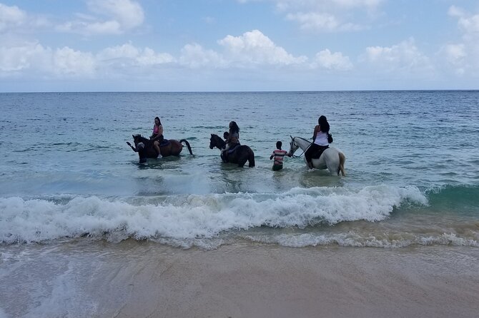 Ocho Rios Private Horse Riding, River Tubing and Rafting[Entry fee not included] - Who This Tour Suits Best (and Who Might Skip It)