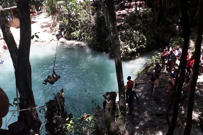 Ocho Rios River Tour: Blue Hole, Dunn's River and Tubing - Key reasons this tour works so well