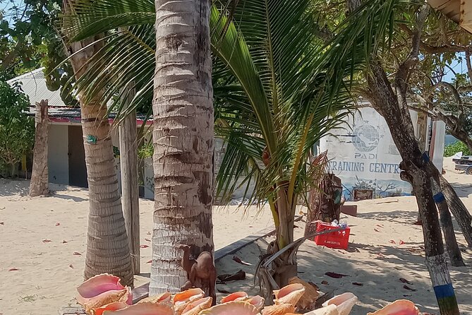 Ocho Rios Scenic Views, Culture and Adventure - Konoko Falls, the River Garden, and the Taino Museum stop