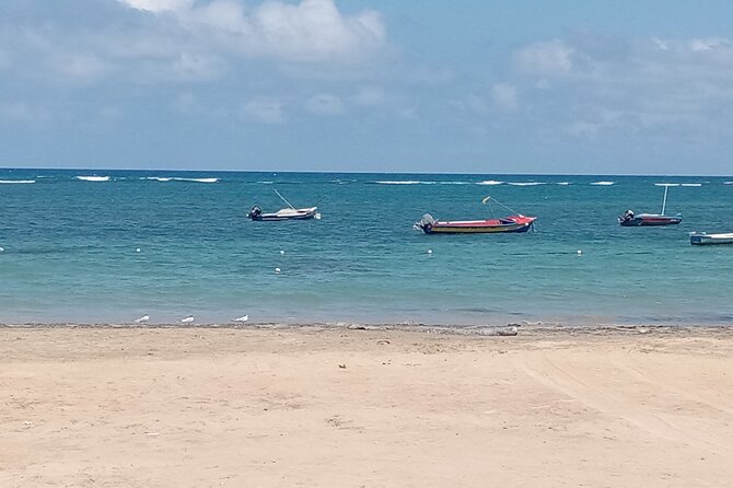 Ocho Rios Scenic Views, Culture and Adventure - Who should book this tour?