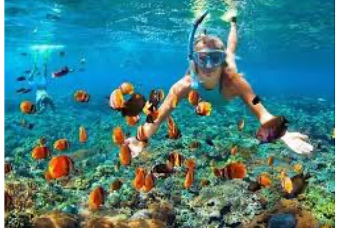 Party Catamaran and Snorkeling Tour in Montego Bay - Who This Tour Fits Best in Your Trip