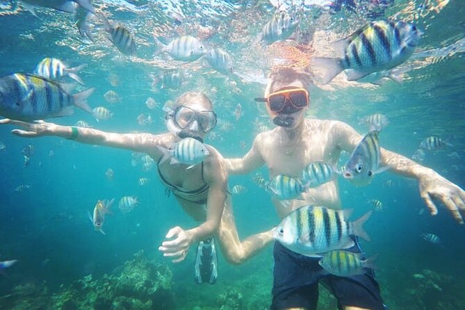Party Catamaran Cruise with Open Bar and Snorkeling Montego Bay - Shared catamaran, but pickup feels private
