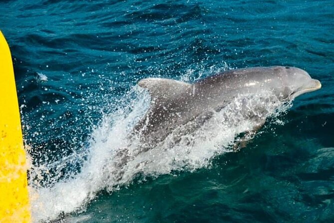 PARTY Catamaran Cruise with Snorkeling Rick's Cafe ADULTS ONLY - Rick’s Café: sunset timing plus cliff jumpers