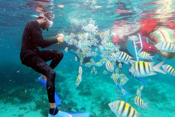 Party Catamaran: OpenBar, Music, Negril Beach, Caves, Snorkeling - Adults-Only Versus Family-Friendly: Pick Your Vibe