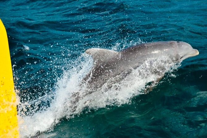Party Catamaran: OpenBar, Music, Negril Beach, Caves, Snorkeling - What To Bring (So You Don’t Spend the Day Miserable)