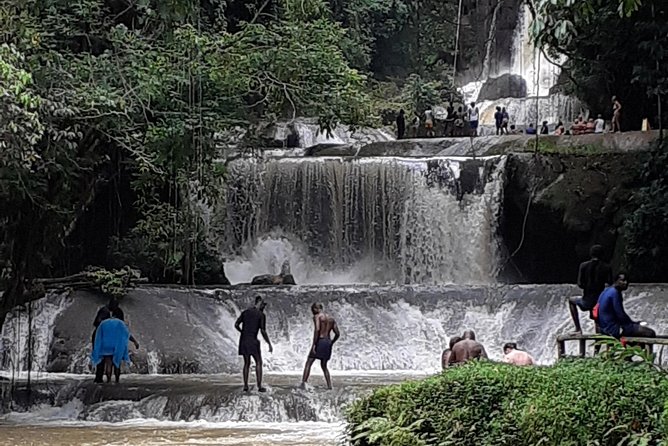 Pelican Bar, Appleton Rum Tour, YS Falls Jamaica south coast experience Montego - Best fit: who should book this Pelican Bar and rum and falls day
