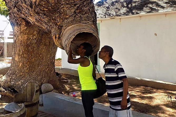 Port Royal Heritage & Sightseeing Tour from Kingston - Fort Charles and the Giddy House: what you will actually see