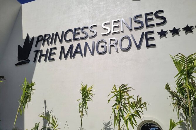Princess Senses The Mangrove Airport Transfers - Private and Flexible, But Still Simple
