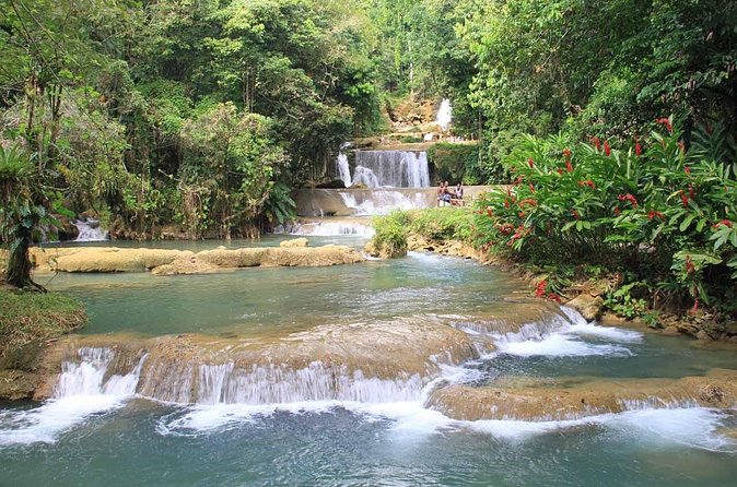 Private Adventure to YS Falls - The optional zipline budgeting: when extra adrenaline is worth it