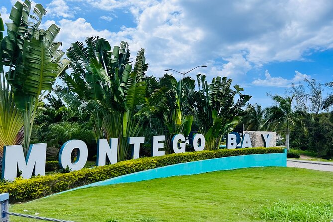 Private Airport Transfer to Excellence, Ocean Coral and Royalton - Key Highlights You Should Care About