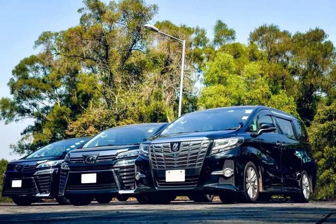Private Airport Transfer to Grand and Luxury Bahia Principe - Quick takeaways before you book