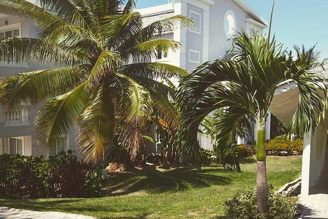 Private Airport Transfer to Lady Hamilton and Grand Palladium - Round-Trip Planning: Your Return Ride Should Feel Just as Easy