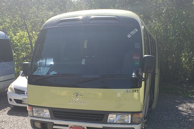 Private Airport Transfers To Negril Hotels and Villas - A Note on the One Service Glitch (And How to Avoid It)