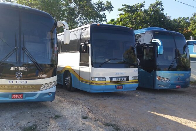 Private Airport Transfers To Negril Hotels and Villas - Meeting Your Driver at MBJ Without Wandering