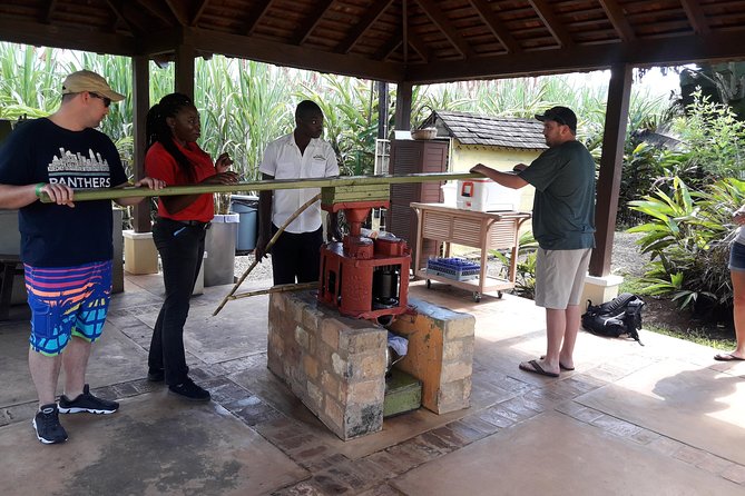 Private Appleton Estate Rum and Pelican Bar Tour from Montego Bay - Floyd’s Pelican Bar: A Sandbar Trip That Feels Like a Pause Button